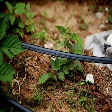 Paip Pengairan Titisan Labyrinth